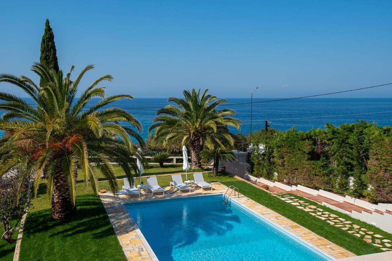 Kamariyo Athens Riviera By A&D Properties Palaiá Fókaia Eksteriør billede