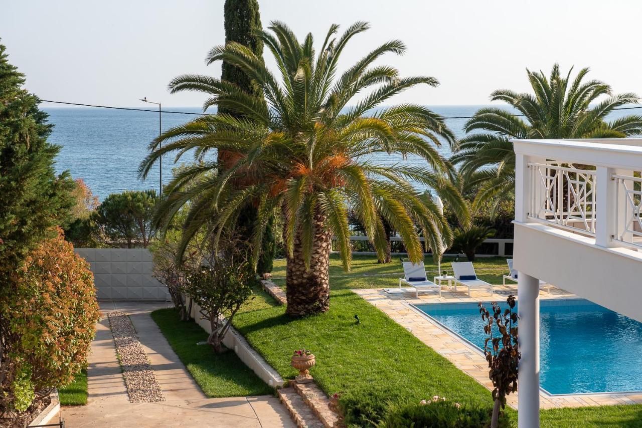 Kamariyo Athens Riviera By A&D Properties Palaiá Fókaia Eksteriør billede